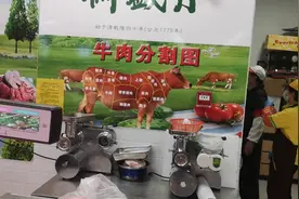 牛肉的腰窝是那个部位？牛腩呢？看一看这张图您就明白了！