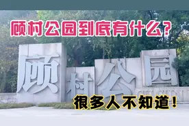 上海顾村公园到底有什么？这么多人喜欢过去玩，很多人不知道视频封面