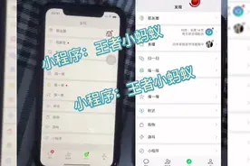 王者怎么扫码登录，王者扫码登录教程，王者上号器