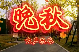 一首好听的歌曲《晚秋》，好温柔甜美的女声版本，深情醉入人心