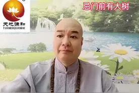 忌门前有大树
