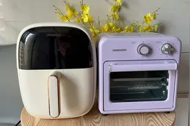 你还在纠结，到底买空气炸锅还是烤箱？那么看完这个视频就知道了视频封面