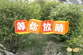 夏日的阴天，风景依然美丽