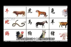 十二生肖排列介解！