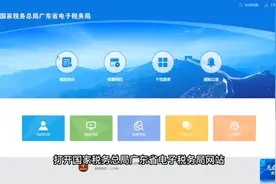 广东电子税务详解