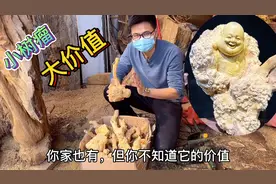 屋前屋后不起眼的小树瘤，原来这么值钱，几招教你变废为宝