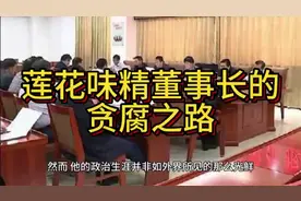 莲花味精董事长的贪腐之路视频封面