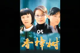 芳芳再一次选择妥协嫁给了司马小松，陶妮被利用诬陷司马小松入狱