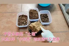 不管多板结的黄土，只加3样“小东西”，立马疏松透气又营养。