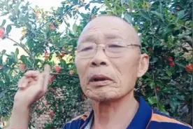 石榴落花落果怎么办，专业人士告诉你，保你的石榴挂满枝丰产丰收视频封面