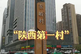 宝鸡东岭村，被称为“陕西第一村”，富裕程度可想而知视频封面