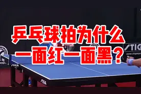 #冷知识#乒乓球#乒乓球拍为什么一面红一面黑？