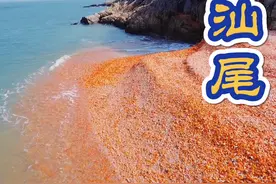 打卡汕尾绝美贝壳沙滩，包游艇上岛花八百值吗 ？广东旅游攻略