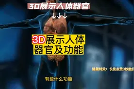 3D展示人体器官及功能。#健康科普 #人体奥秘
