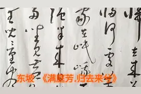 草书  东坡  《满庭芳.归去来兮》归去来兮……视频封面