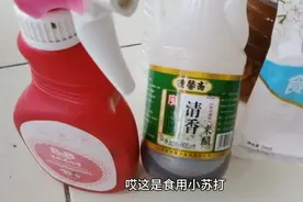 制作杀虫剂防止蚜虫，用小苏打兑水加上醋，杀虫效果杠杠的。视频封面