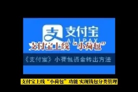 支付宝上线“小荷包”功能视频封面