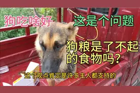 吃剩菜剩饭的狗好，还是吃狗粮的狗身体好，它们差别到底大不大？视频封面