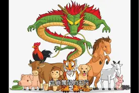 十二生肖知识:四、十二生肖代表什么五行（一）视频封面