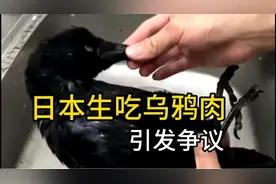 日本生吃乌鸦肉惹争议，“乌鸦刺身”文化也许会导致病毒传播