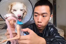 小狗玩芭比娃娃，非常漂亮的玩具，它很喜欢，主人非常开心视频封面