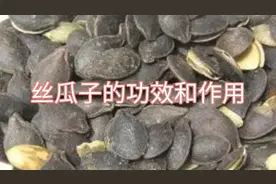 丝瓜子的功效和作用