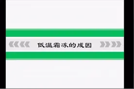 教教大家春季低温霜冻的成因—苹果春季低温霜冻防控技术第一讲视频封面