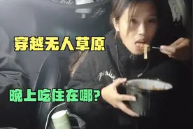 自驾无人区，发现被咬死的牦牛和羊，把牛装车带走咋样？能吃吗？