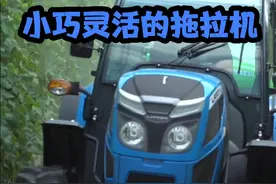 葡萄园里无所不能的兰迪尼拖拉机视频封面