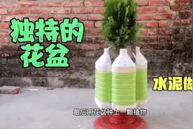 国外大叔利用破塑料瓶子和水泥，制作了一个独特的花盆视频封面