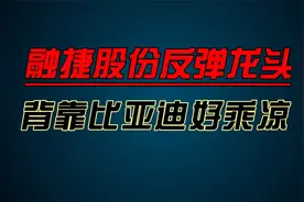 锂矿龙头融捷股份，背靠比亚迪，公司是有矿吗？
