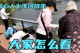 沈阳浑河岸边，爱心人士放生好多鱼和小乌龟，能存活不？大家咋看视频封面