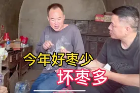 今年雨水多，陕北的枣子坏多好少！靠枣生活的二哥又要犯难了