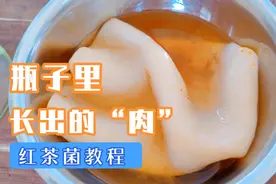 瓶子里也能长出“肉”！教你在家做红茶菌，酸甜可口健脾养胃