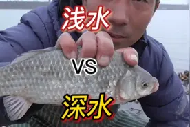 雨天钓鲫温度5～9°:到底钓深还是钓浅，新毅野钓实战给你答案。视频封面