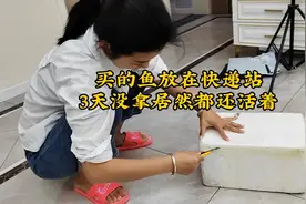 老婆在网上买的鱼，在快递站放了三天，今天才想起来！视频封面