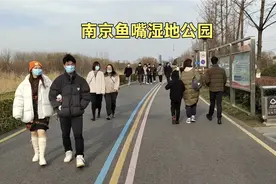 乘坐南京地铁2号线到鱼嘴湿地公园，观赏长江壮观景象，你来过吗