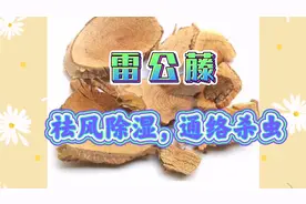 雷公藤，毒性中药，具有祛风解毒杀虫的功效，用于风湿类风湿疾病视频封面