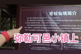 床车自驾游云南弥勒，可邑小镇的精华景色都在密枝仙境视频封面
