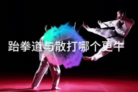 跆拳道和散打哪个更牛？哪个更适合你