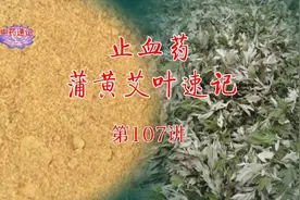 中药速记第107讲，止血药蒲黄与艾叶速记视频封面