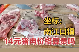 实拍广东南江口镇早市菜价，猪肉多少钱一斤？听到价格太吓人！视频封面