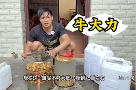 牛大力这样泡酒才好喝，泡制过程简单易懂，你学会了么视频封面