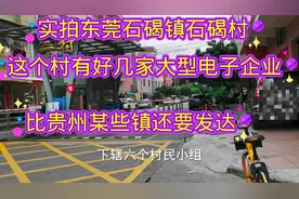 东莞石碣镇石碣村，这村有几家大型电子企业，比某些镇还要发达
