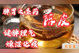 陈皮—被称为“脾胃之圣药”，理气健脾、燥湿化痰。