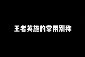 王者英雄的常用别称，最后一个很少人知道。