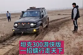 坦克300游侠版再现神奇操作，一招蠕行模式成功脱困稀泥滩！视频封面