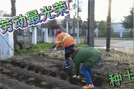云南土豆，加格达奇土豆，呼中土豆！都种地里了！看哪的土豆好吃视频封面
