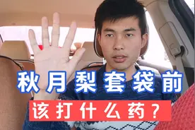 秋月梨马上就要开始套袋了，这遍农药非常重要，一定切记！