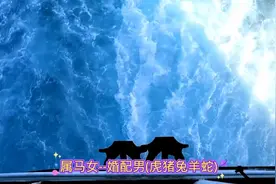 2023年男女婚配对照表视频封面